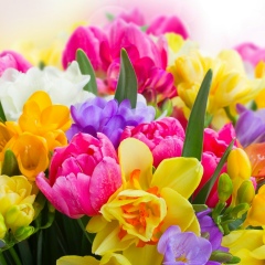 Ириша Голубь, Винница