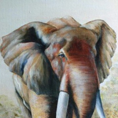 Ксю Ценовая, 25.02, Днепр (Днепропетровск)