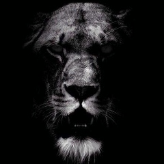 Назира Туебаева, 16.12