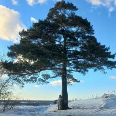 Надежда Курочкина, 07.08, Томск