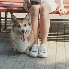 Елена Федина, 07.05, Москва