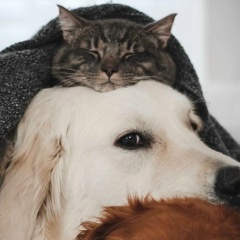 Марина Иванова, 28.10, Коломна