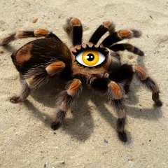 Ильдар Сабиржан, 04.06.1986