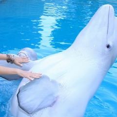 Елизавета Мельникова, 12.02.1963, Санкт-Петербург