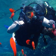 Вадим Сухарь, 15.11, Москва