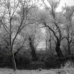 Ibragim Sultygov, 14.06.1996, Экажево