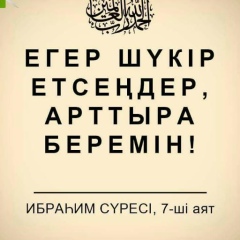 Нарбол Тайланов, 27.06, Шымкент