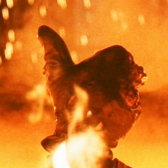 Александр Матросов, 21.06, Липецк