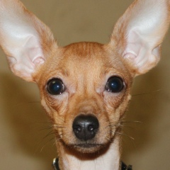 Владимир Бырко, 29.09, Санкт-Петербург