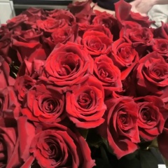 Наталия Найко, Инта