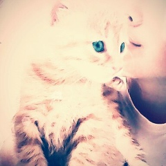 Нигина Бакирова, 01.07.2000, Ташкент