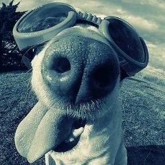 Герард Абдулкин, 08.04.1983, Санкт-Петербург