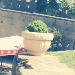 Shorty Freeman, 13.09, Апатиты