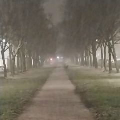 Любовь Власенкова, 26.11.1975, Санкт-Петербург