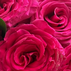 Виктория Костина, Якутск