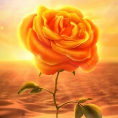 Людмила Клянченко, 28.06, Москва