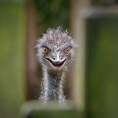 Ольга Владимирова, 21.08