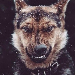 Gafur Matchanov, 02.09.1998, Казань