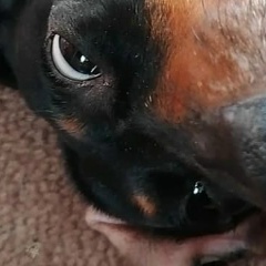 Илья Савельев, 25.11, Санкт-Петербург