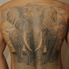 Олег Поляков, 30.03, Калининград