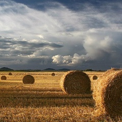 Олег Макин, Новосибирск