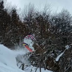 Валерий Кряков, 15.06