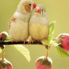 Айжан Жанбосын, 21.02, Астана