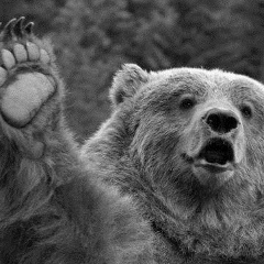 Мишка Димитерко, 27.08.1992, Санкт-Петербург