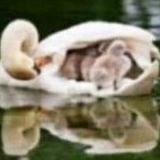 Акку Дарсенова, 17.01.1970