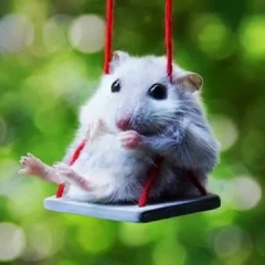 Александра Мишкина, 16.07, München