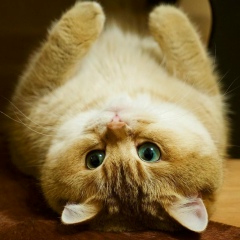 Екатерина Березовская, 14.01, Одесса