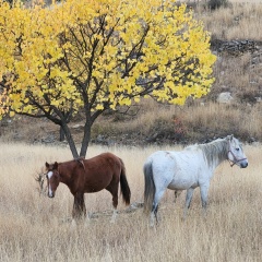 Екатерина Острошанская, 24.02, Санкт-Петербург
