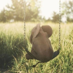 Ольга Титова, 26.05, Санкт-Петербург