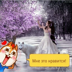 Светлана Вербицкая, Волгоград