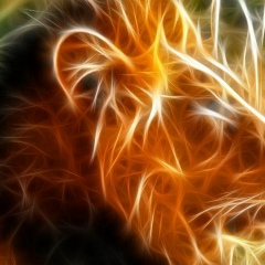 Борис Пшеничный, Алматы