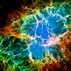 Александр Анатольев