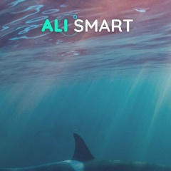 Ali Smart, 06.05.1989, Уфа