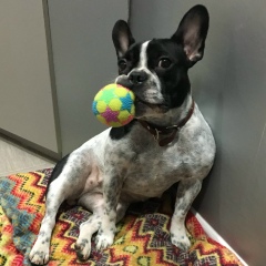 Александр Канунников, 19.12.1981, Москва