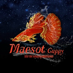 Bank HongwiangChan, 16.03.1991, Tak