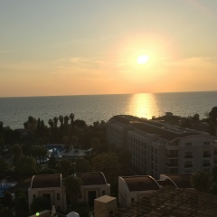 Артем Дмитриев, 03.01.1984, Санкт-Петербург