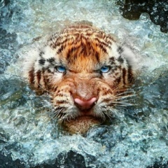 Нурдаулет Жумабаев, 30.10, Шымкент