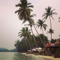 Олег Левковский, 16.03.1985, Караганда