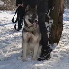 Вова Ошека, 06.02, Кривой Рог