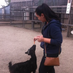 Лилия Вестина, Тюмень