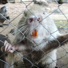 Дмитрий Иванов, 05.12