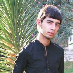 Vasif Zerbelizade, 27.01.1996, Гянджа