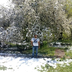 Dolkun Ashimov, 03.05, Лесное