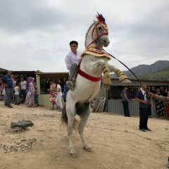 Али Курбанов, 07.07.1996, Санкт-Петербург