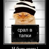 Андрей Щербак, 12.09