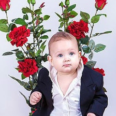 Avetis Avetisyan, Норатус